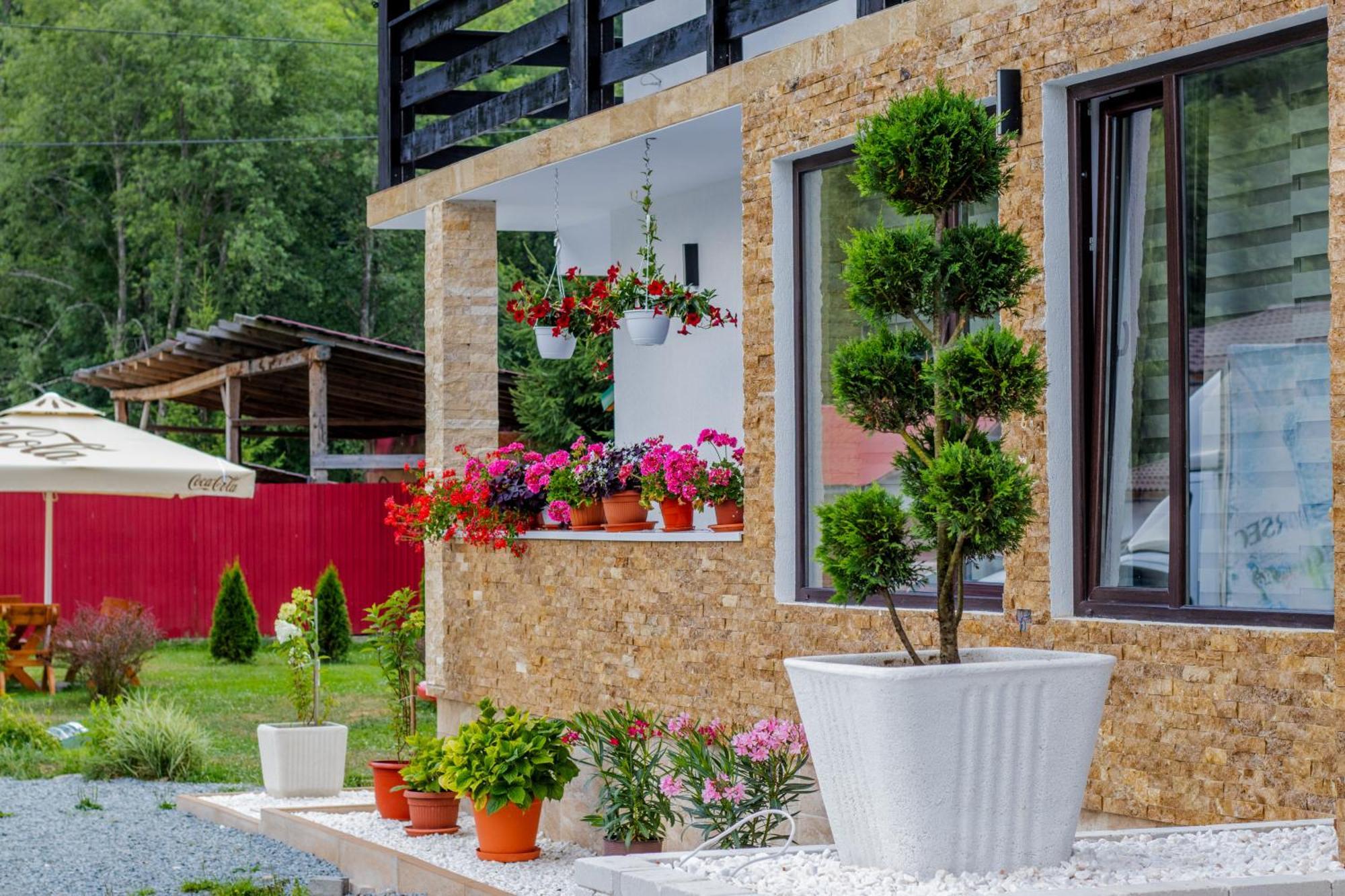 Ge-Lux Villa Incesti Exteriör bild