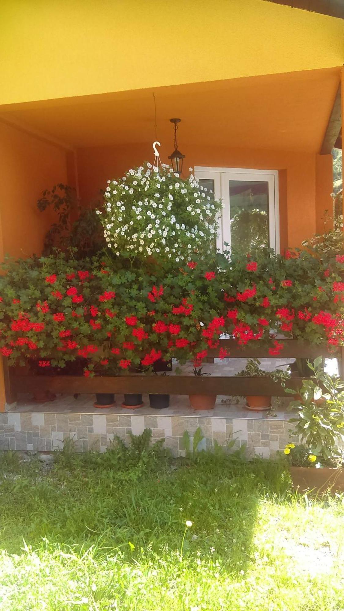 Ge-Lux Villa Incesti Exteriör bild